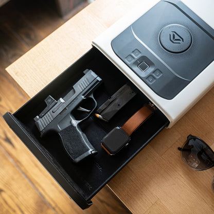 DS2i Smart Station ViSN Biometric Safe